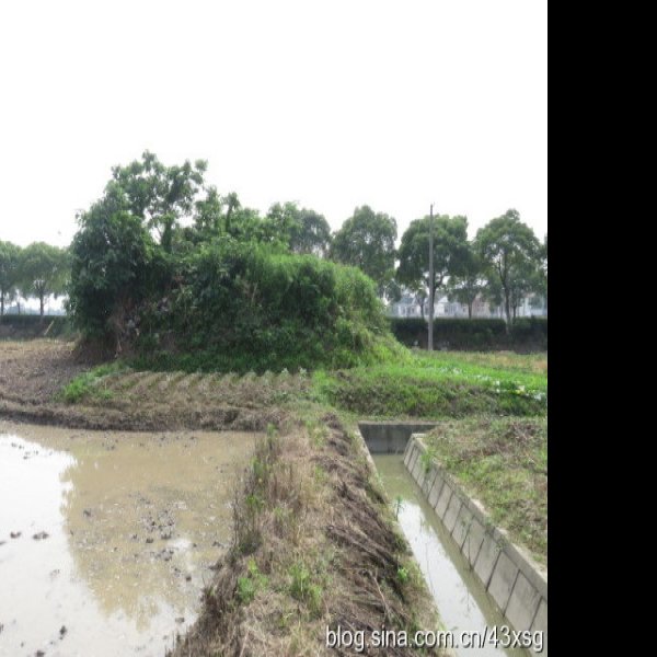 骆驼墩遗址 - 图片7