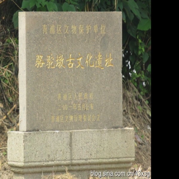 骆驼墩遗址 - 图片8