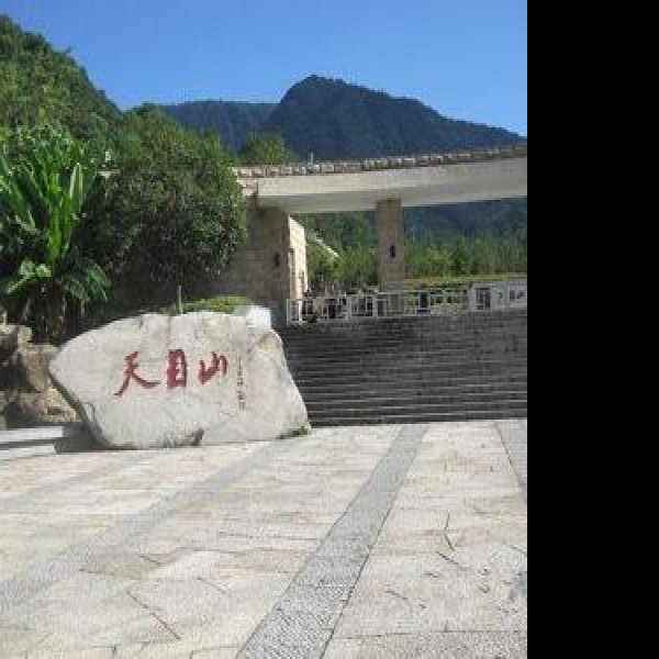 天目山遗址 - 图片4