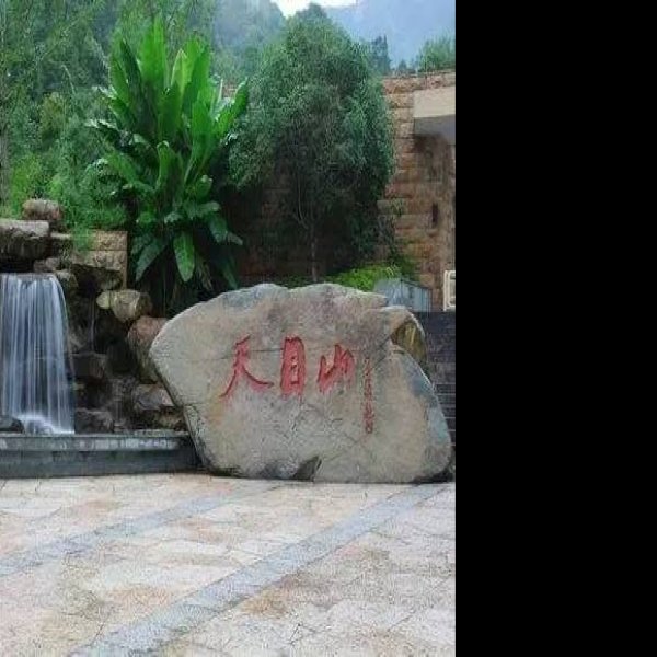 天目山遗址 - 图片8
