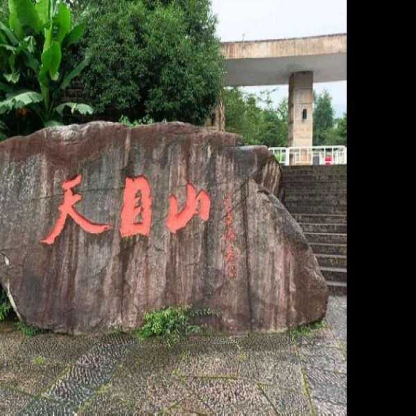 天目山遗址 - 图片9