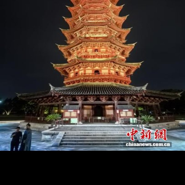 瑞光塔 - 图片6