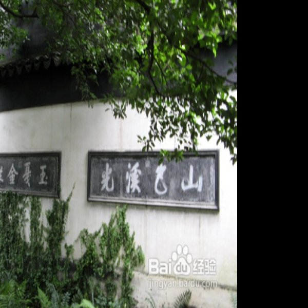 畅园 - 图片4