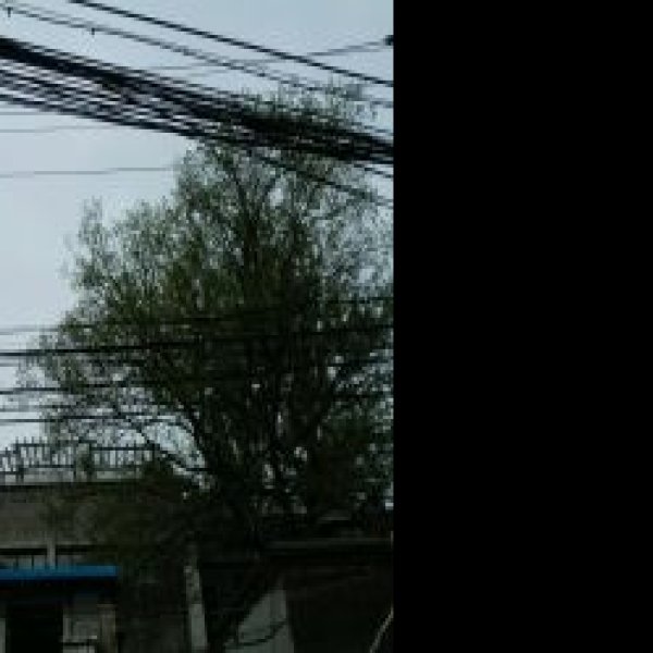 北京大学地质学馆旧址 - 图片4
