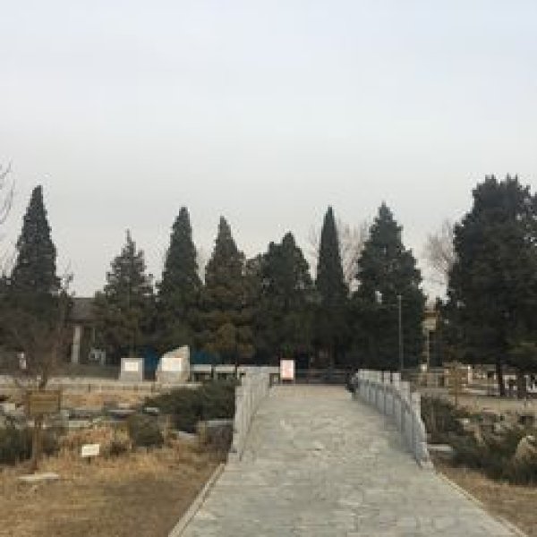焦庄户地道战遗址 - 图片7
