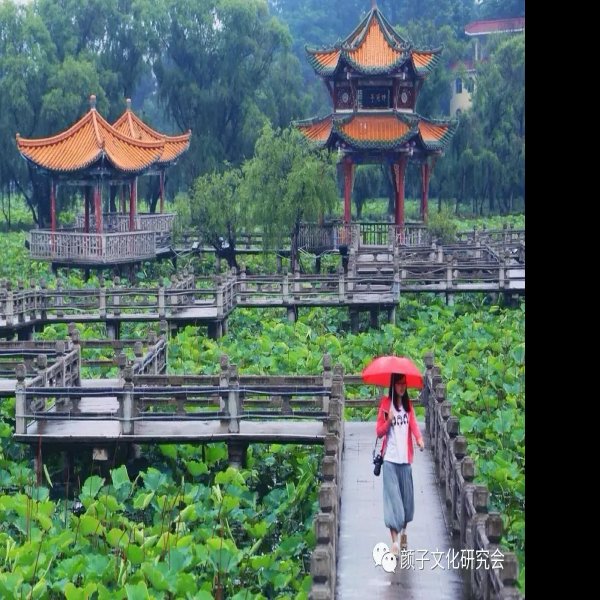 龙广观音洞遗址 - 图片2