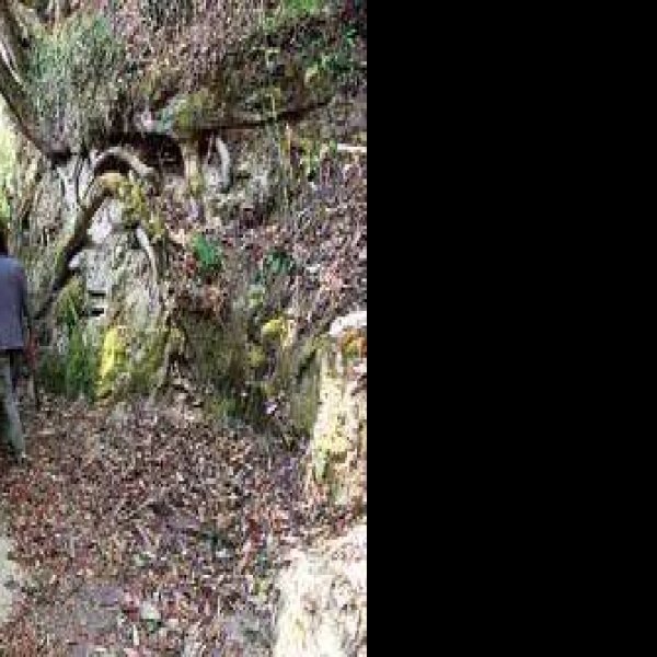 茶马古道贵州段 - 图片7