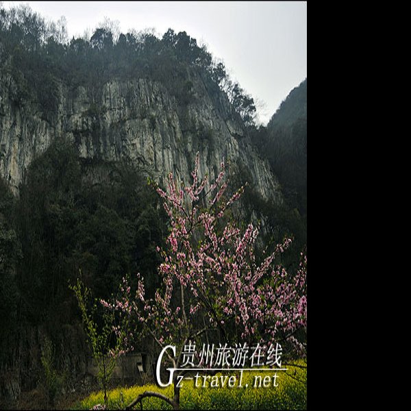 惠水仙人桥洞葬 - 图片10