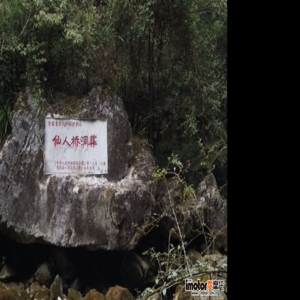惠水仙人桥洞葬 - 图片7