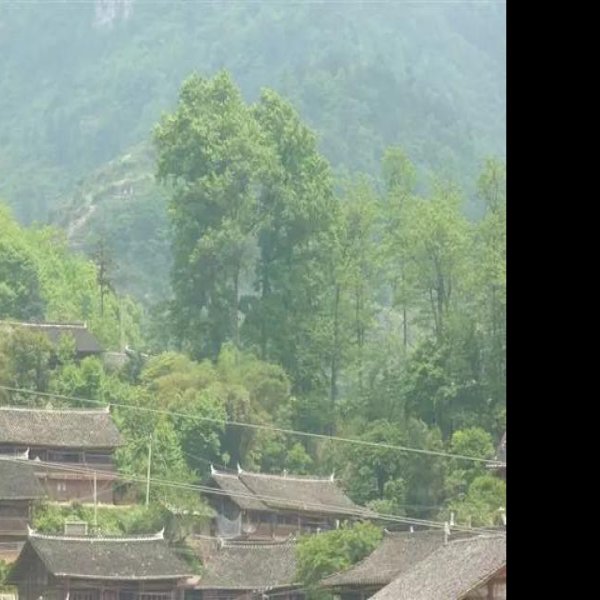 黔南水族墓群 - 图片4
