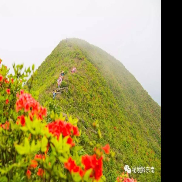 岩门长官司城 - 图片3