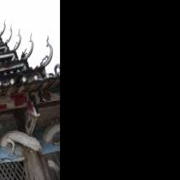 宰鹅鼓楼 - 图片5