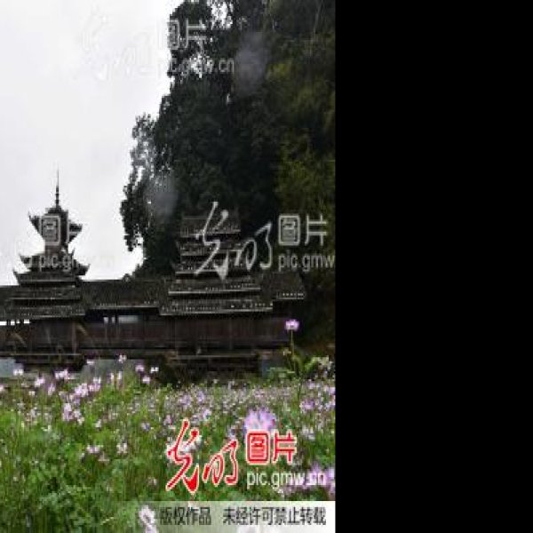金勾风雨桥 - 图片2