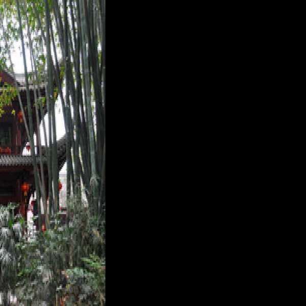 望江楼古建筑群 - 图片10