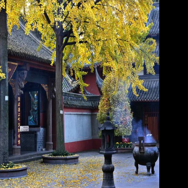 文殊院 - 图片3