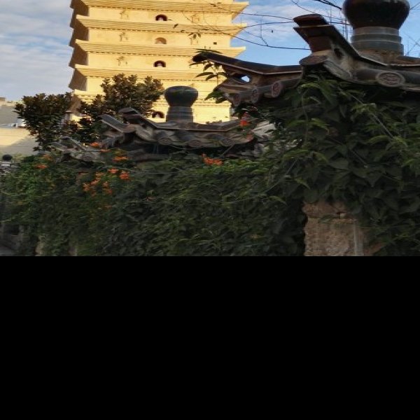 东寺塔和西寺塔 - 图片2