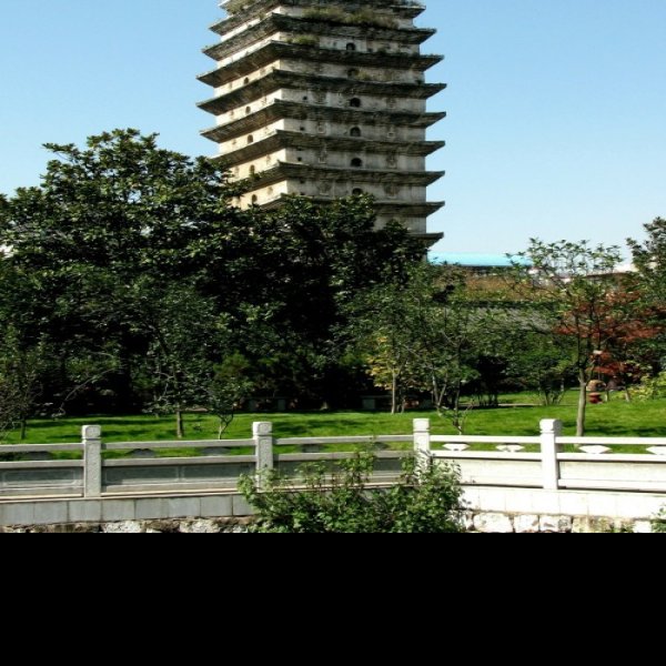 东寺塔和西寺塔 - 图片5