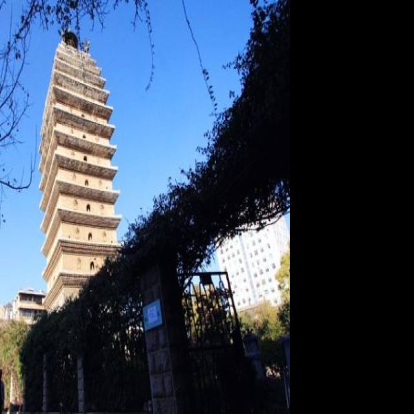 东寺塔和西寺塔 - 图片8