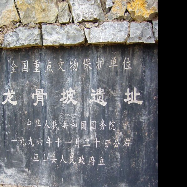 巫山龙骨坡遗址 - 图片1