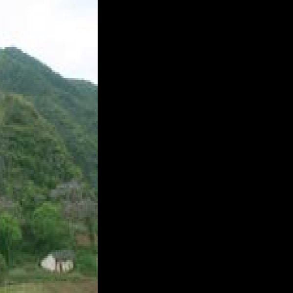 巫山龙骨坡遗址 - 图片10