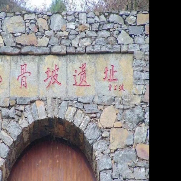 巫山龙骨坡遗址 - 图片9