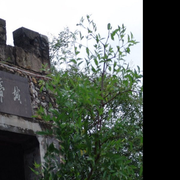 白帝城 - 图片8