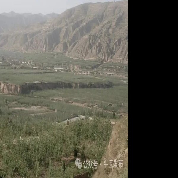 成纪故城遗址 - 图片5