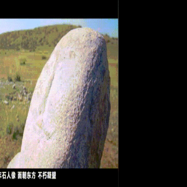阿敦乔鲁石栅古墓群及岩画群 - 图片10