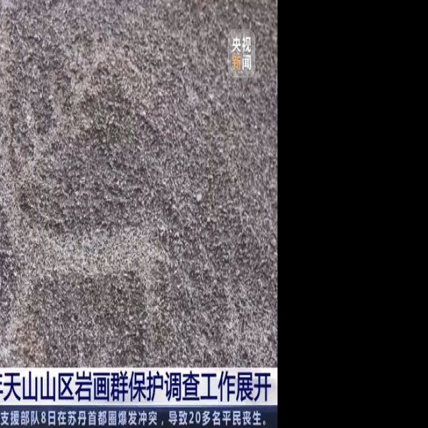 阿敦乔鲁石栅古墓群及岩画群 - 图片4