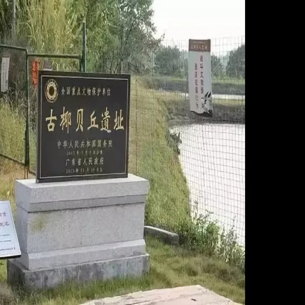 古椰贝丘遗址 - 图片1