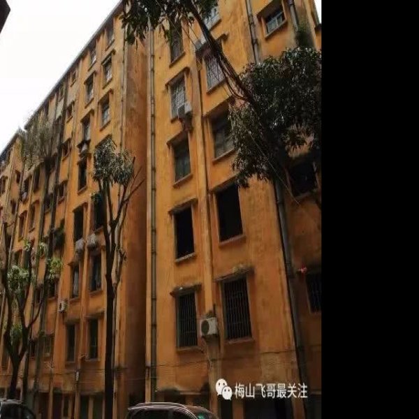 顺德糖厂早期建筑 - 图片9