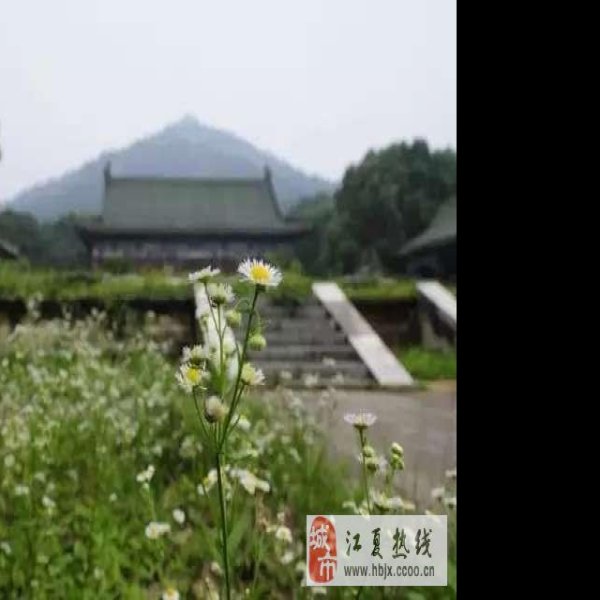 明楚王墓 - 图片5