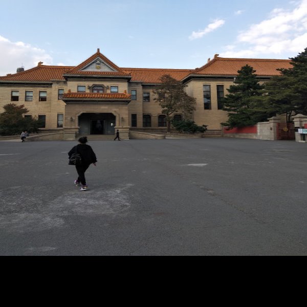 伪满皇宫及日伪军政机构旧址 - 图片6