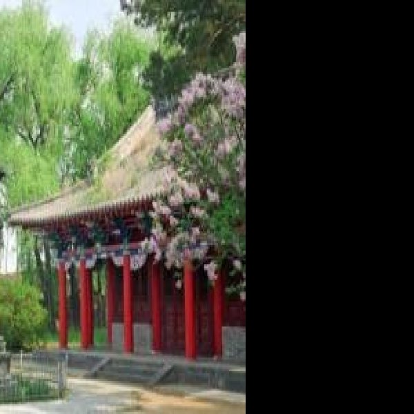 渤海国上京龙泉府遗址 - 图片7