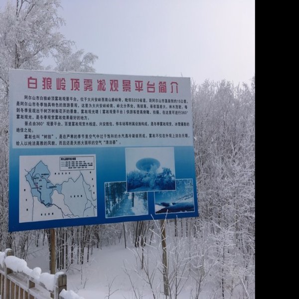 侵华日军阿尔山要塞遗址 - 图片6