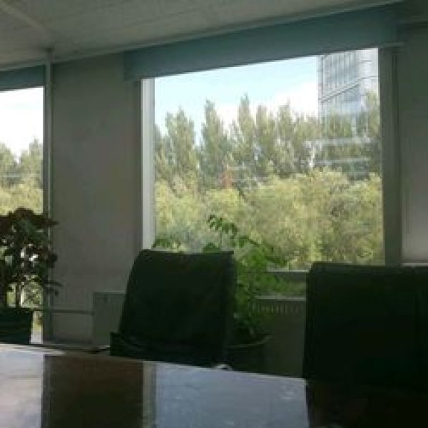 黑龙江省图书馆旧址 - 图片6