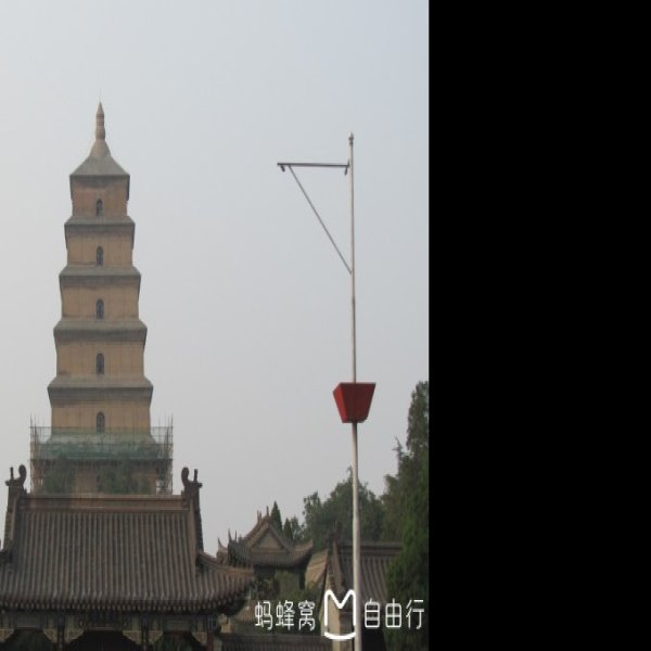 陕西大雁塔 - 图片8