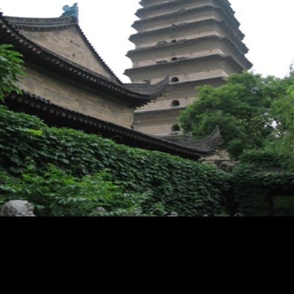 陕西小雁塔 - 图片7