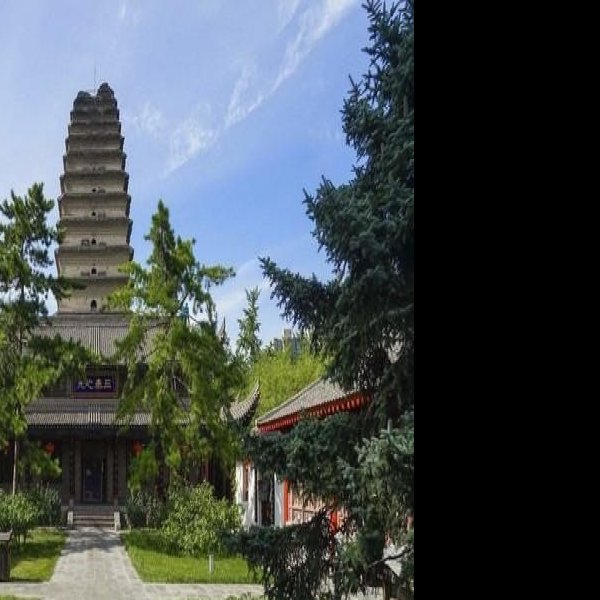 陕西小雁塔 - 图片9