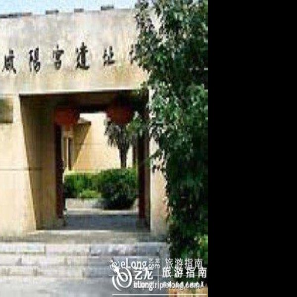 陕西咸阳宫遗址 - 图片8