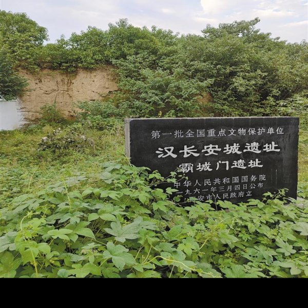 陕西汉长安城遗址 - 图片9