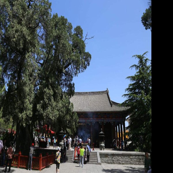 陕西黄帝陵 - 图片1