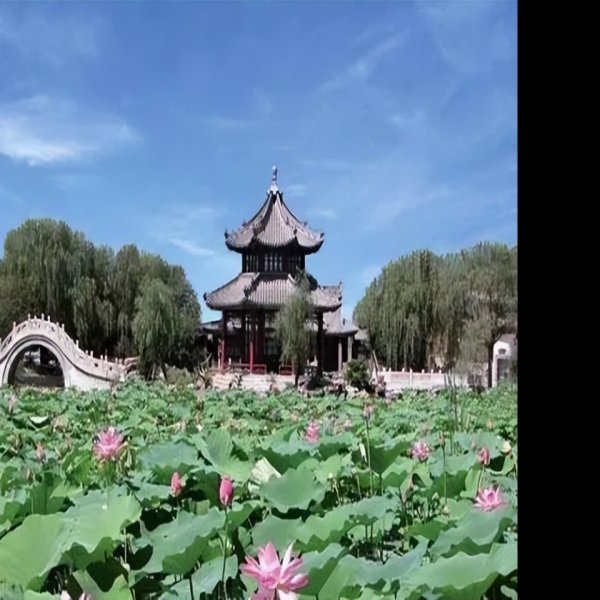 河北保定古莲花池 - 图片1