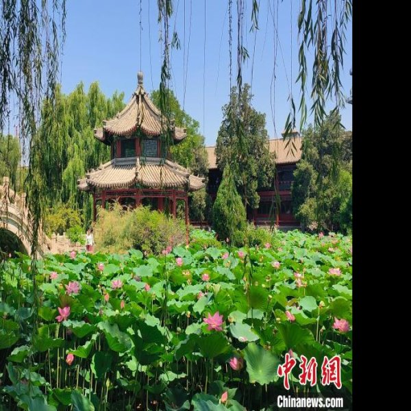 河北保定古莲花池 - 图片5