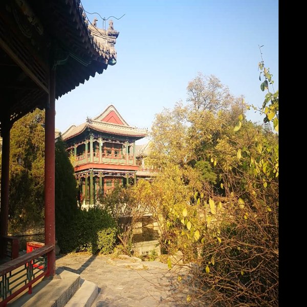 河北保定古莲花池 - 图片7