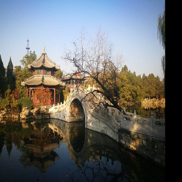 河北保定古莲花池 - 图片9