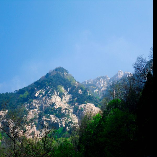 山东泰山 - 图片4