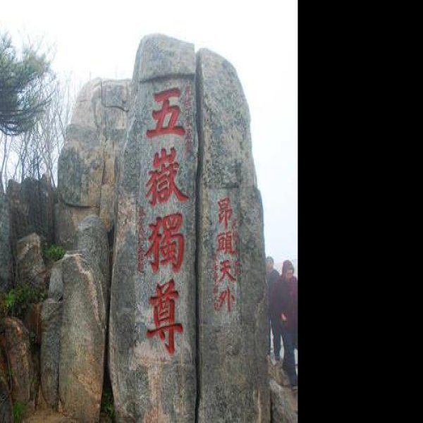 山东泰山 - 图片8