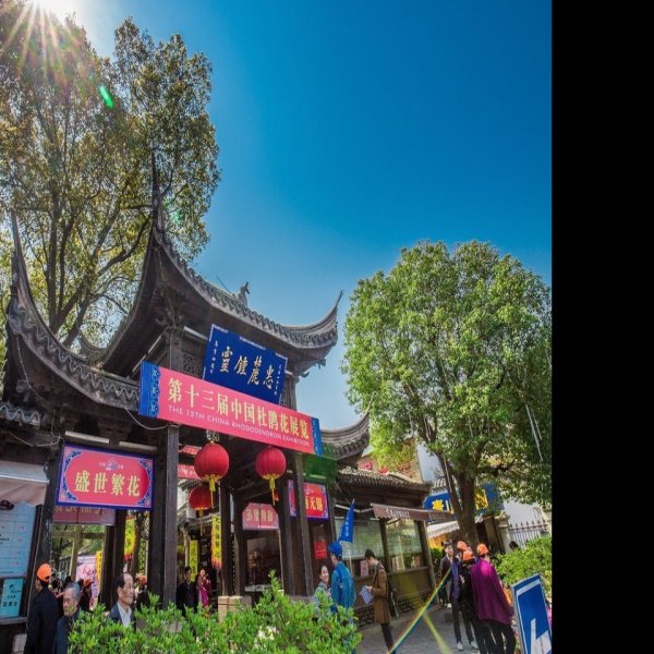 江苏无锡惠山古镇 - 图片10