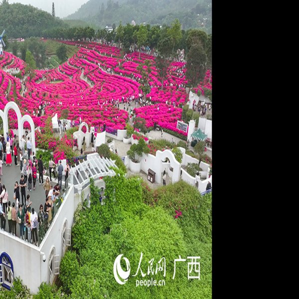广西南宁青秀山 - 图片10